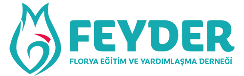 Feyder